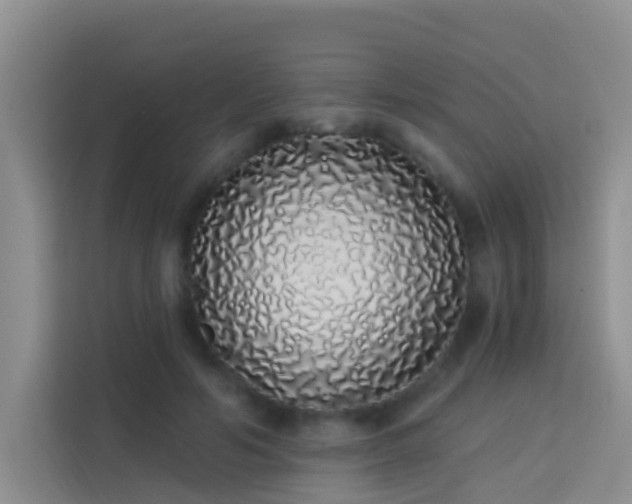 X0000114070594200910051340