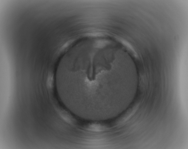 X0000114070596200910051339