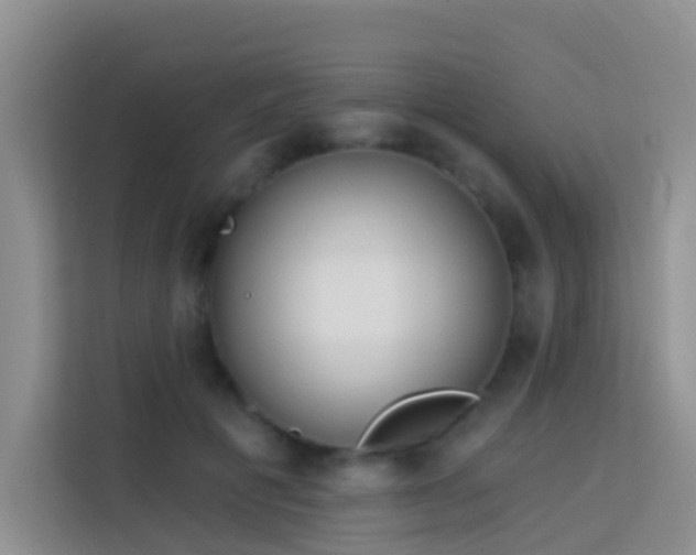 X0000114070601200910051339