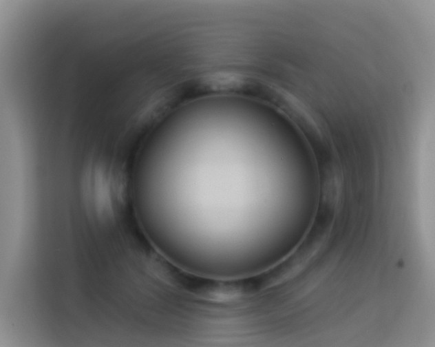 X0000114070604200910051339