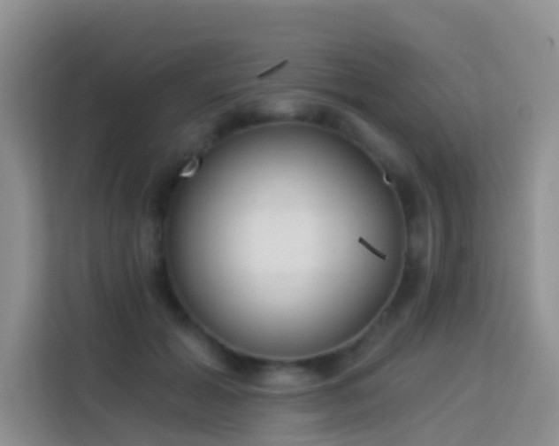 X0000114070605200910051339