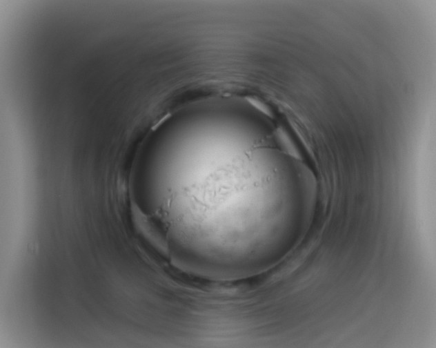 X0000114070613200910051339