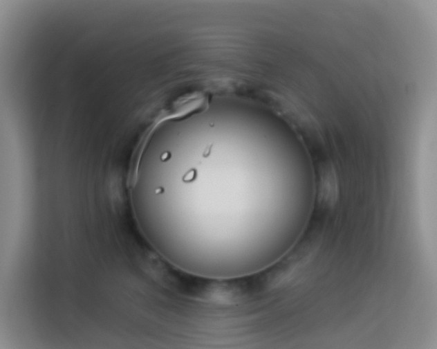 X0000114070616200910051339