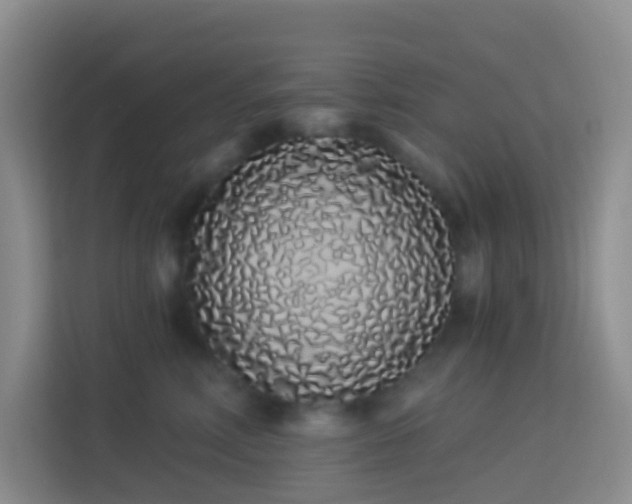 X0000114070618200910051339