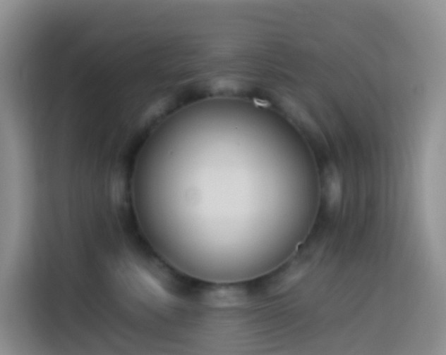 X0000114070619200910051339