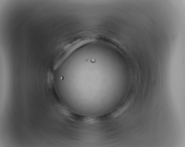 X0000114070624200910051339