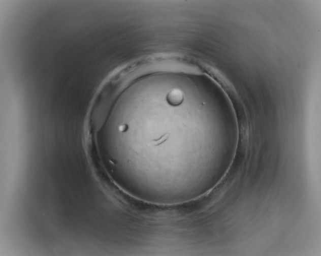 X0000114070628200910051339