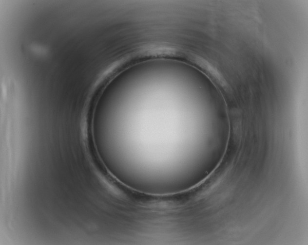 X0000114070629200910051339