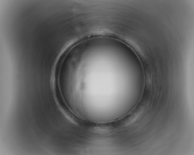 X0000114070630200910051339