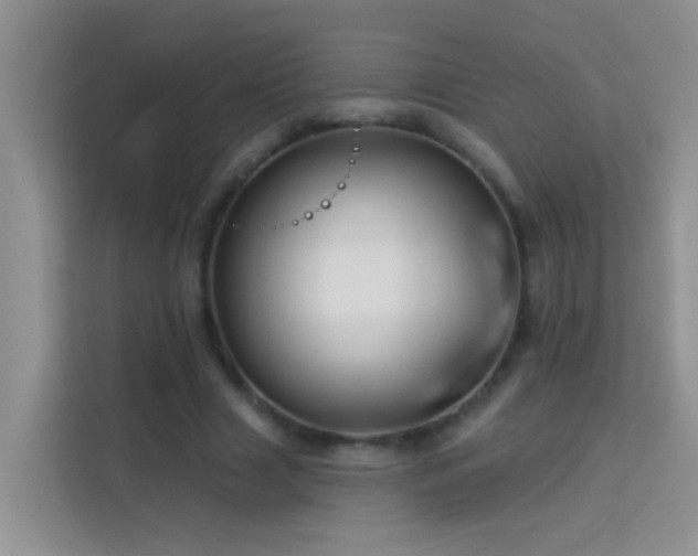 X0000114070633200910051339