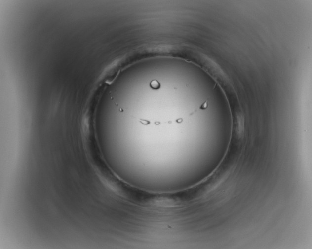 X0000114070636200910051339