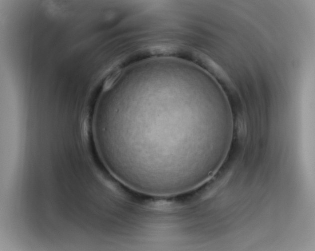 X0000114070637200910051339