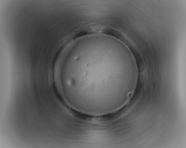 X0000114070641200910051339