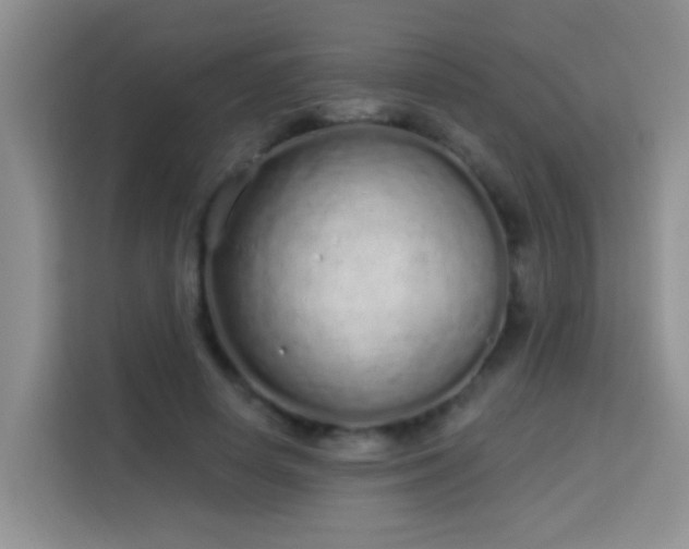 X0000114070642200910051339