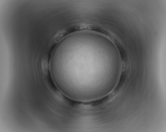 X0000114070648200910051339