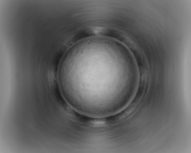 X0000114070651200910051339