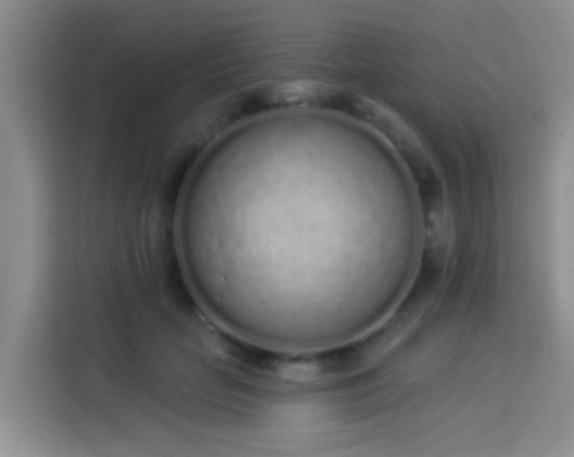 X0000114070653200910051339