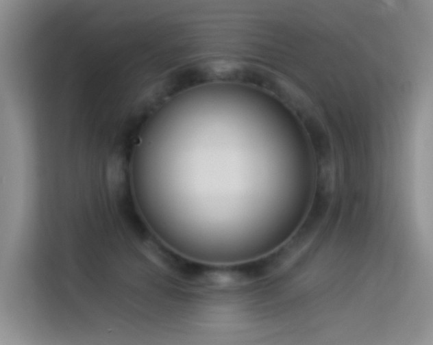 X0000114070654200910051339