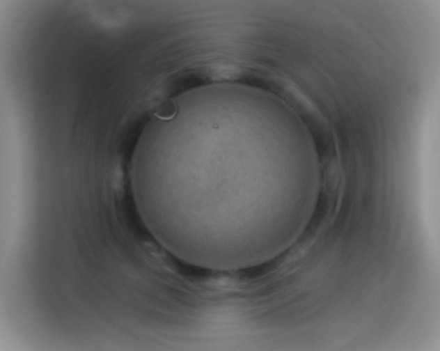 X0000114070655200910051339