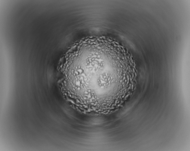 X0000114070659200910051339