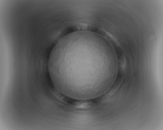 X0000114070661200910051339