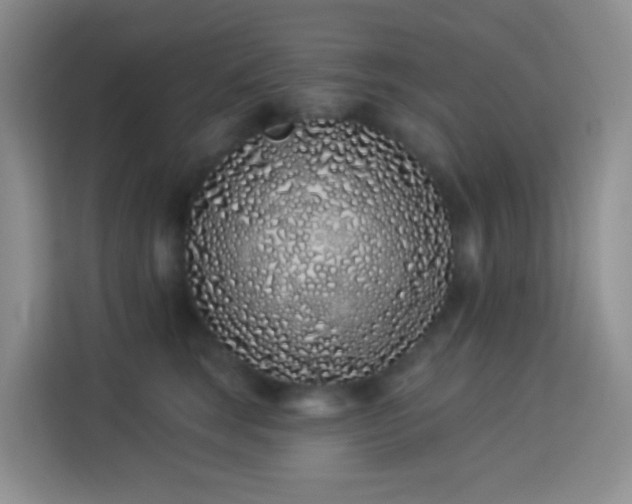 X0000114070663200910051339