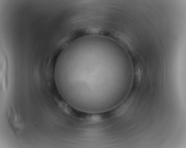 X0000114070665200910051339