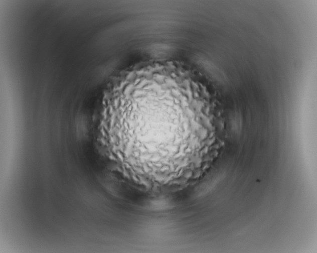 X0000114070667200910051339