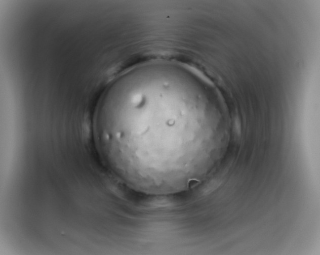 X0000114070668200910051339