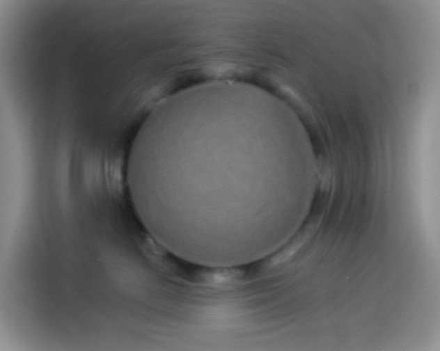 X0000114070670200910051339