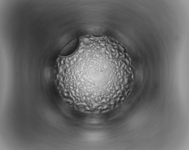 X0000114070671200910051339