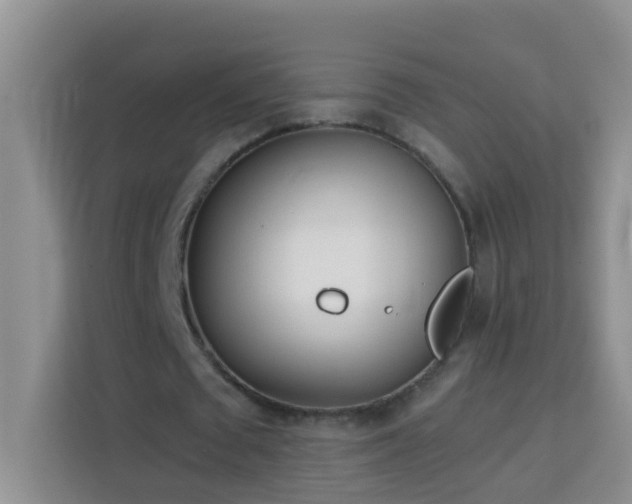 X0000114070673200910051338