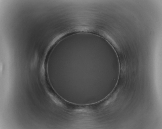 X0000114070674200910051338