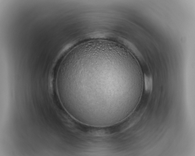 X0000114070675200910051338