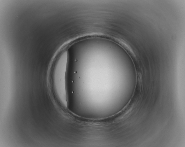 X0000114070676200910051338