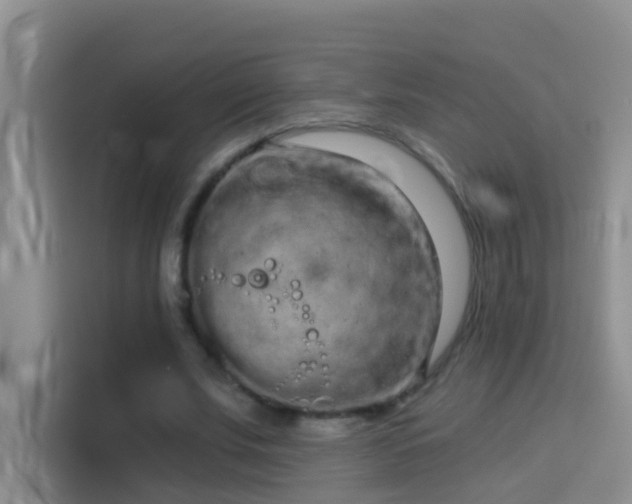 X0000114070679200910051338