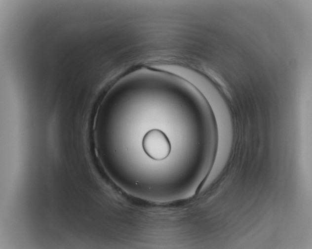 X0000114070681200910051338