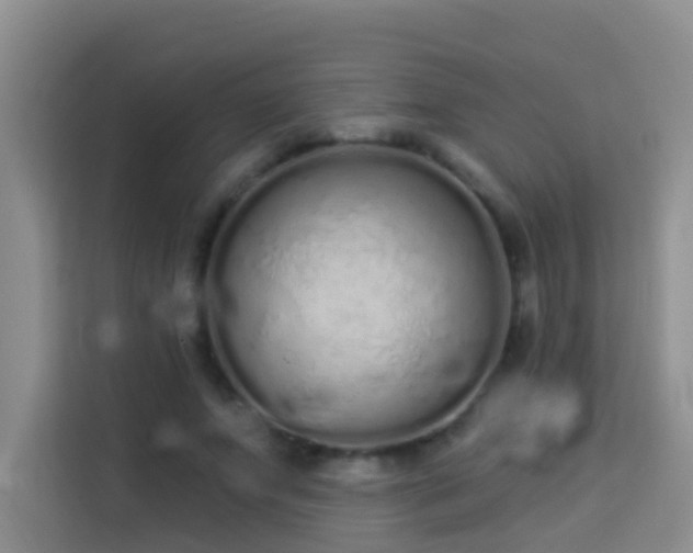 X0000114070687200910051338