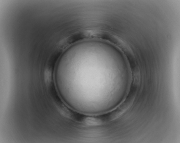 X0000114070699200910051338