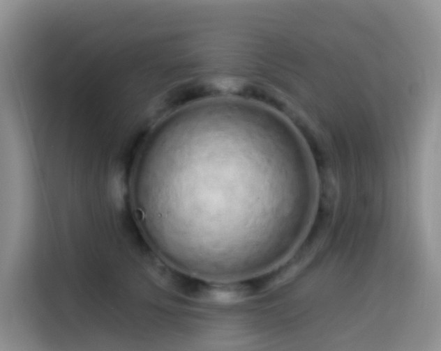 X0000114070707200910051338