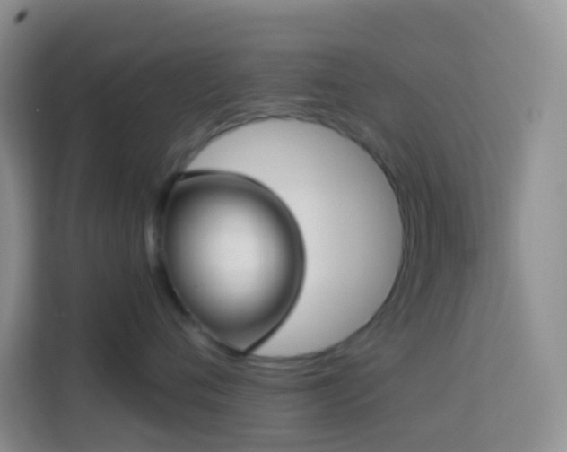 X0000114070720200910051338