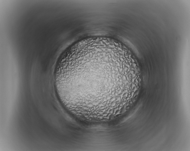 X0000114070721200910051337