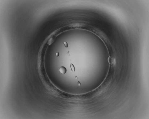 X0000114070724200910051337