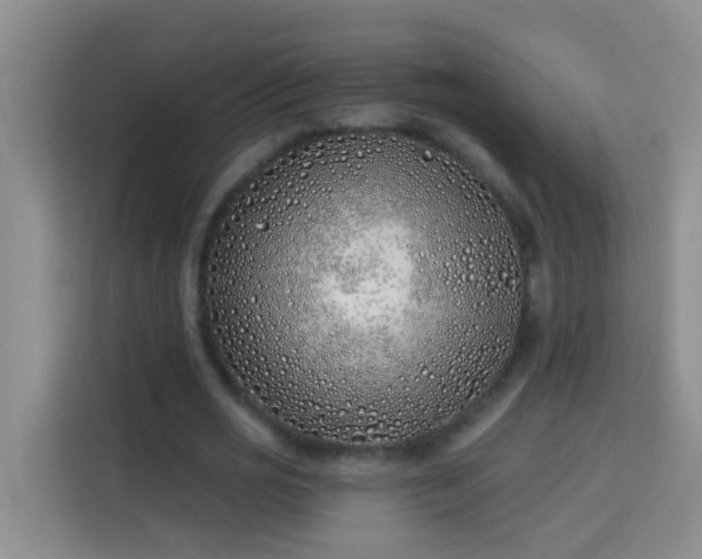 X0000114070725200910051337