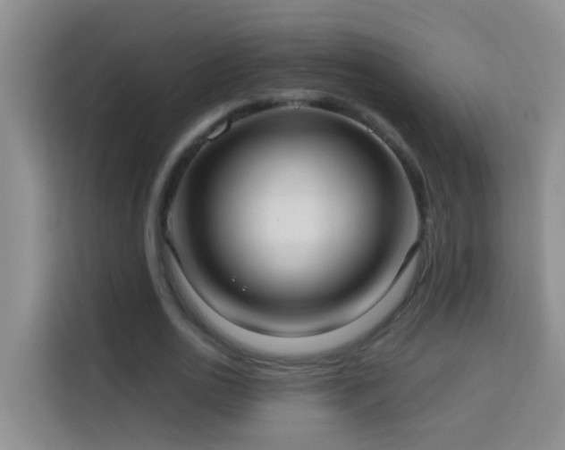 X0000114070726200910051337