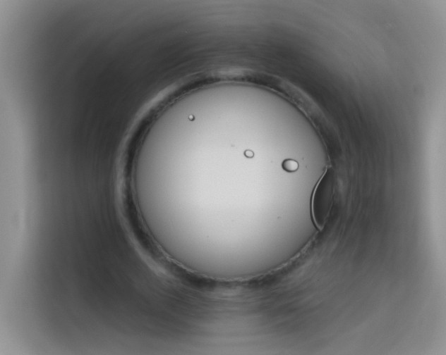 X0000114070728200910051337