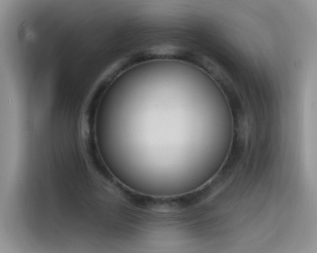 X0000114070731200910051337