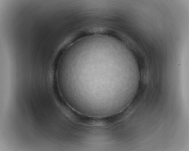 X0000114070735200910051337