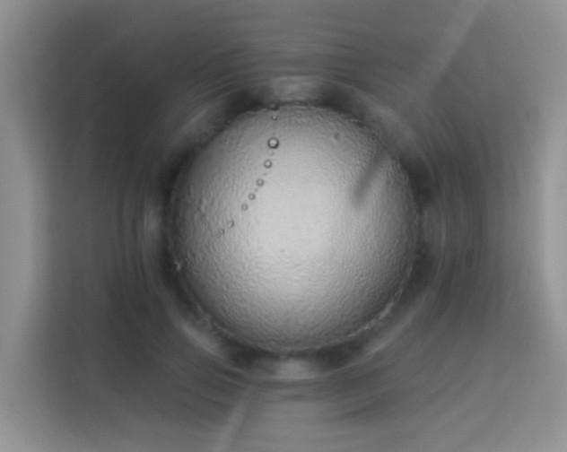 X0000114070741200910051338