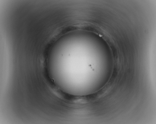 X0000114070750200910051338